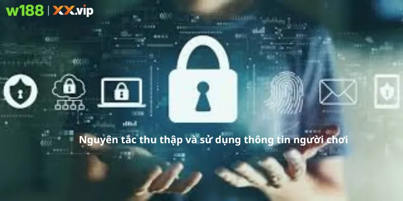 Nguyên tắc thu thập thông tin